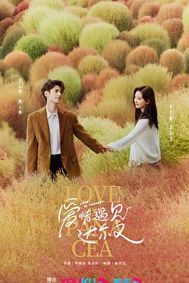 企业背景墙网站推荐优化